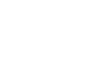 F.L.Popper